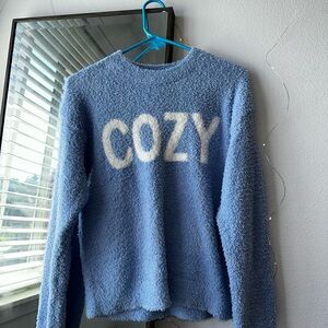 Cozy Blue Sweater